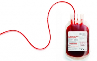 Odpowiedzialność za brak stosownej ilości krwi ponosi szpital - ciekawe rozstrzygnięcie SA w Łodzi