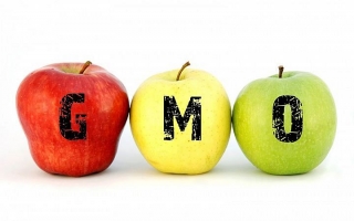 Produkty wolne od GMO będą specjalnie oznaczone