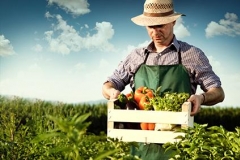Trwają prace nad ustawą chroniącą przychody rolników