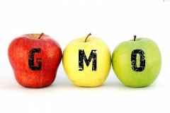 Produkty wolne od GMO będą specjalnie oznaczone